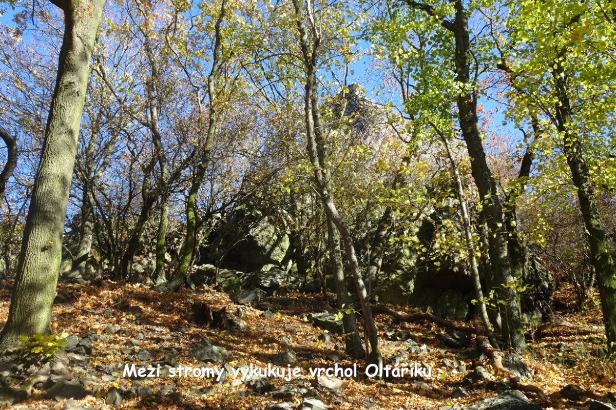 03-oltarik-mezi-stromy.jpg