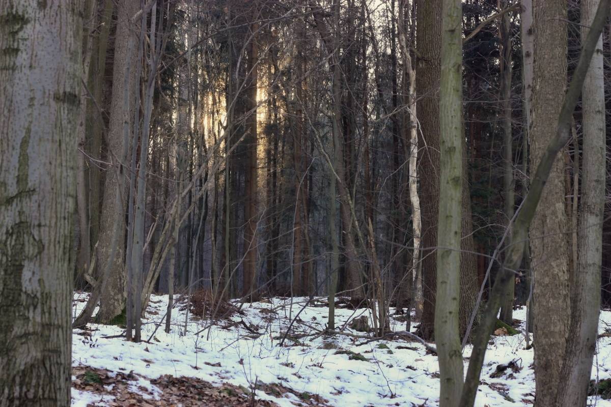 03-slunce-je-jeste-nizko.jpg