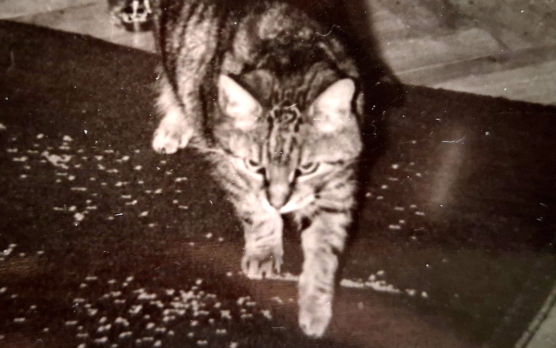 Kryštof a jeho neřesti