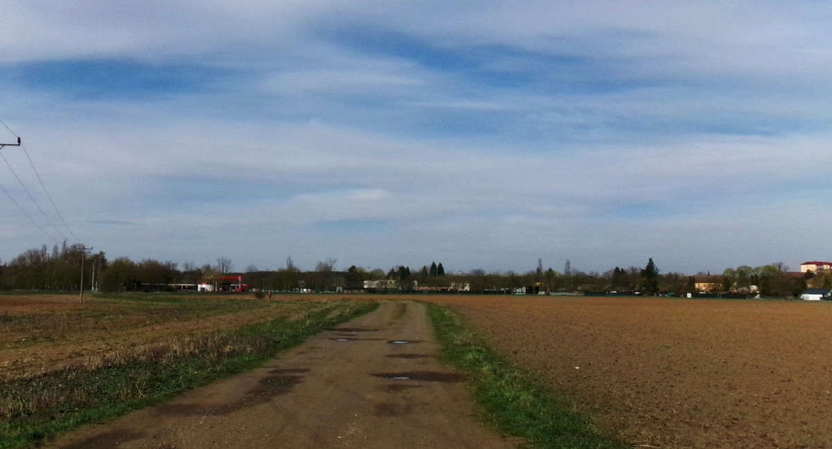 245-6024.jpg