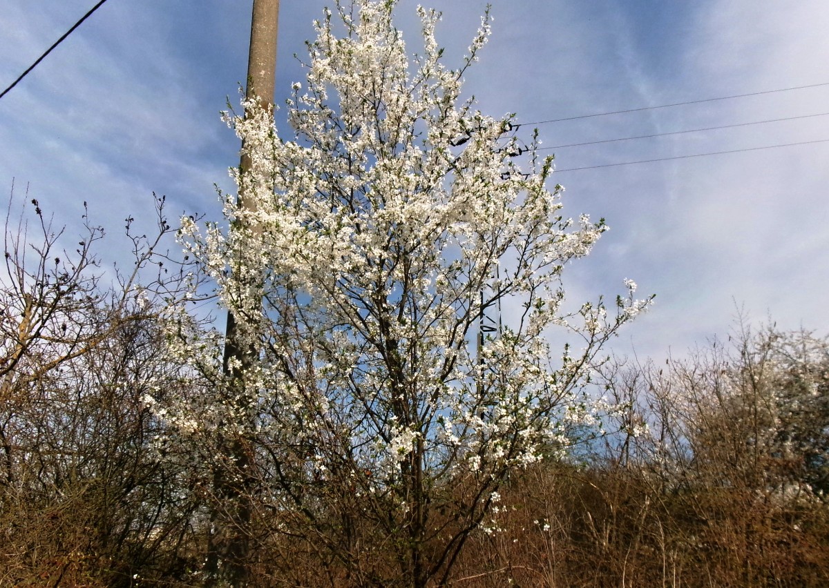 245-6028.jpg