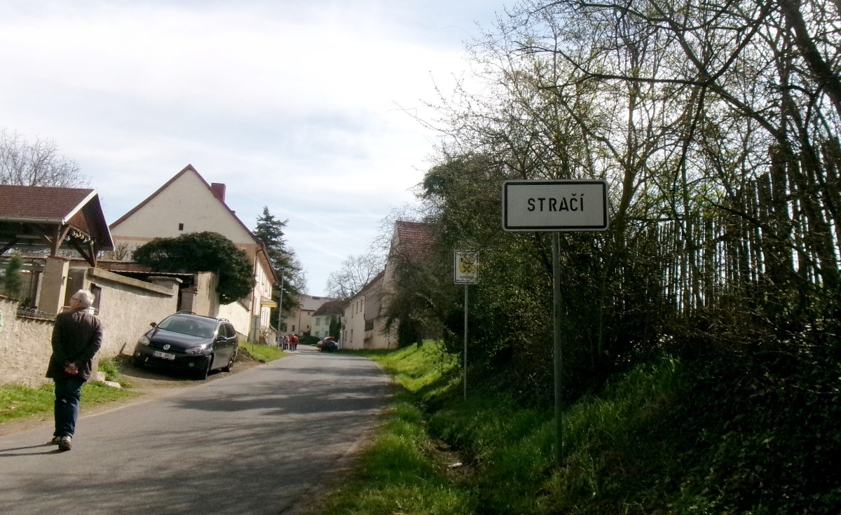 245-6032.jpg