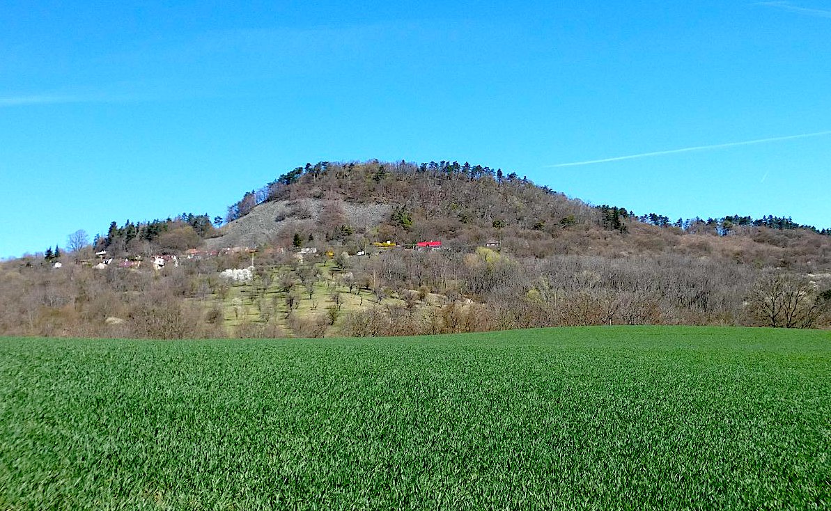 Blesensky-vrch-a-zelene-obili-1.JPG