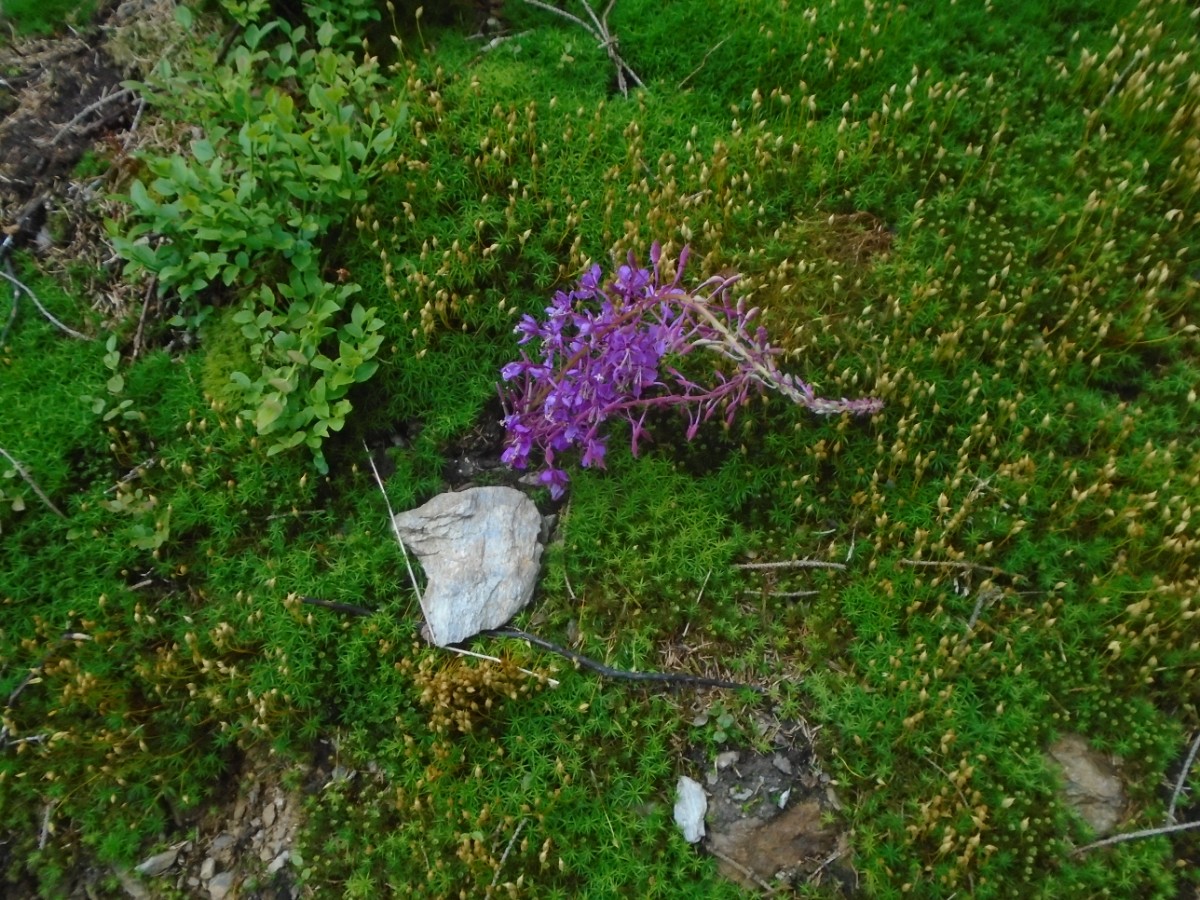 008-61.jpg