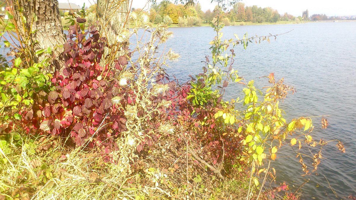 Vítej, podzime aneb Barevná symfonie