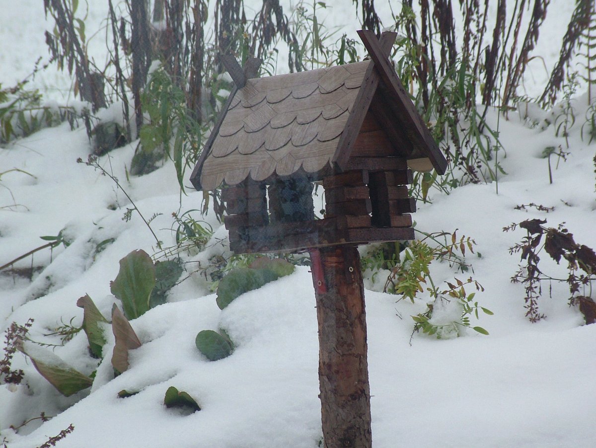 hned jsme jim nasypali