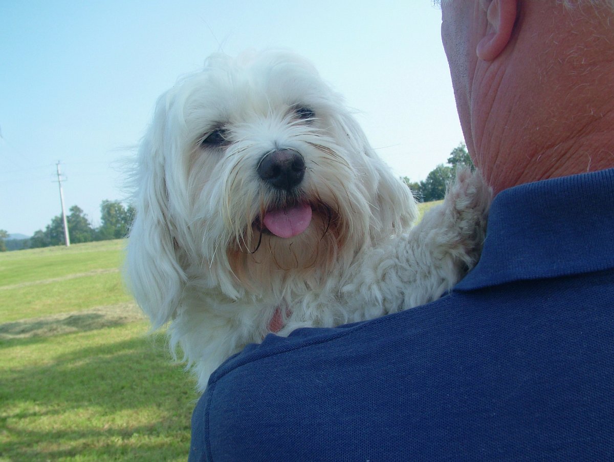 na chvilku do náruče