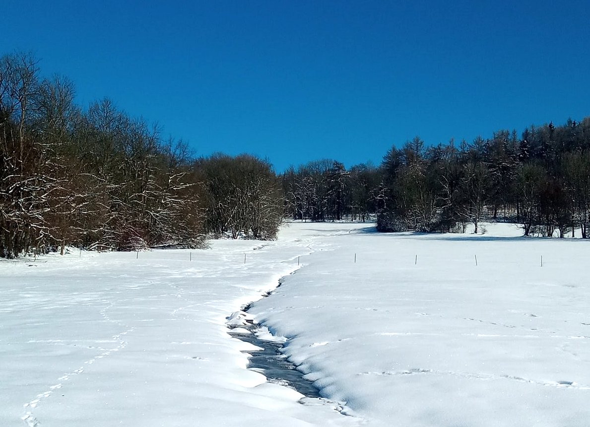 Takový docela normální všední den
