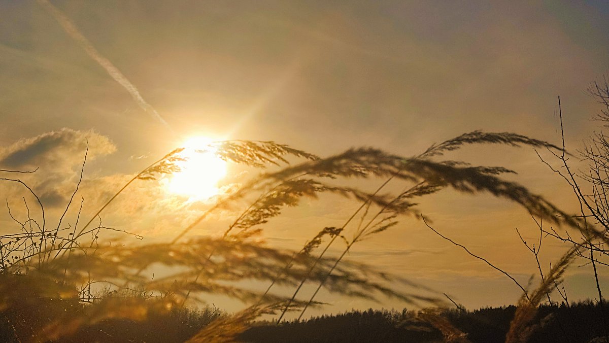 Předjaří nám ťuká na dveře