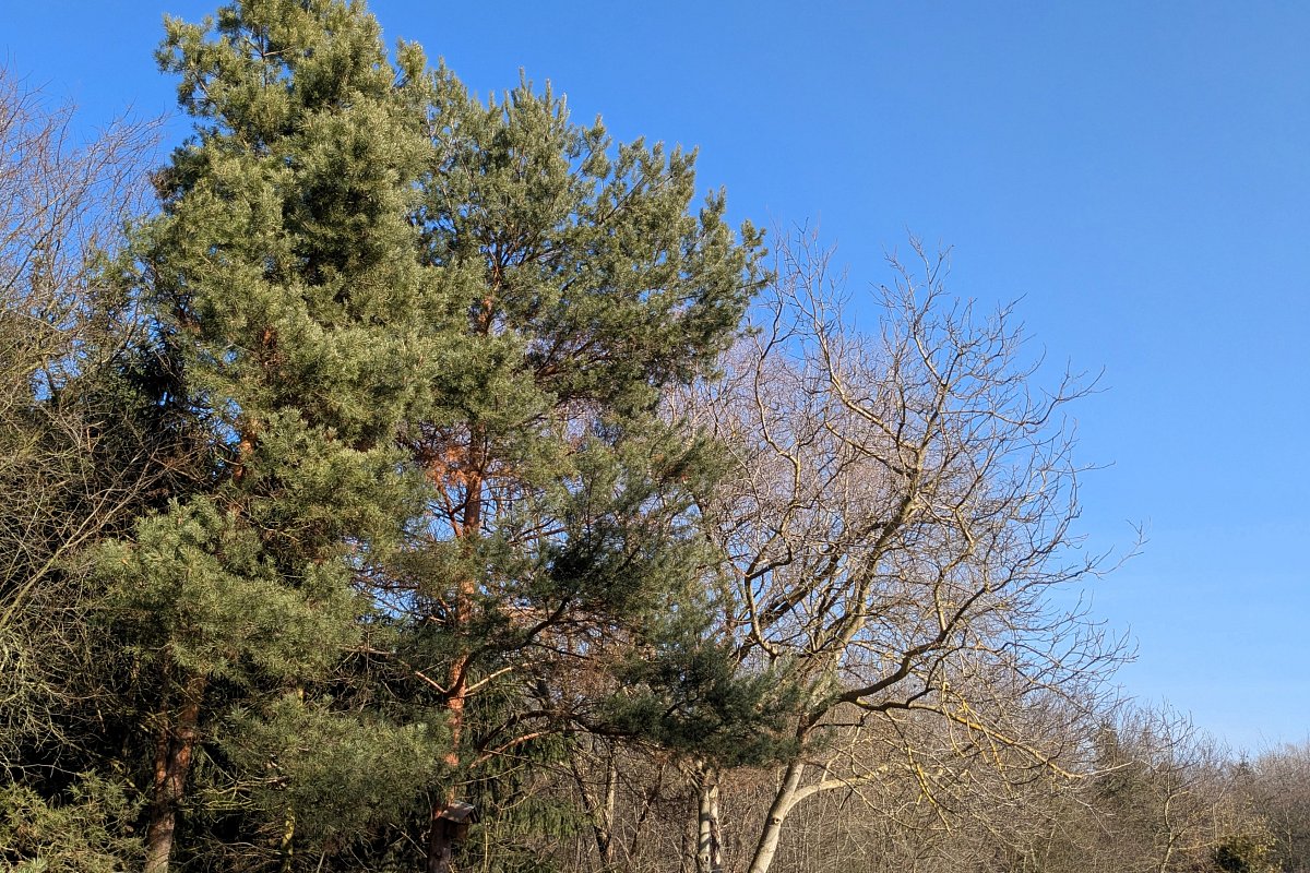 Konečně modrá obloha