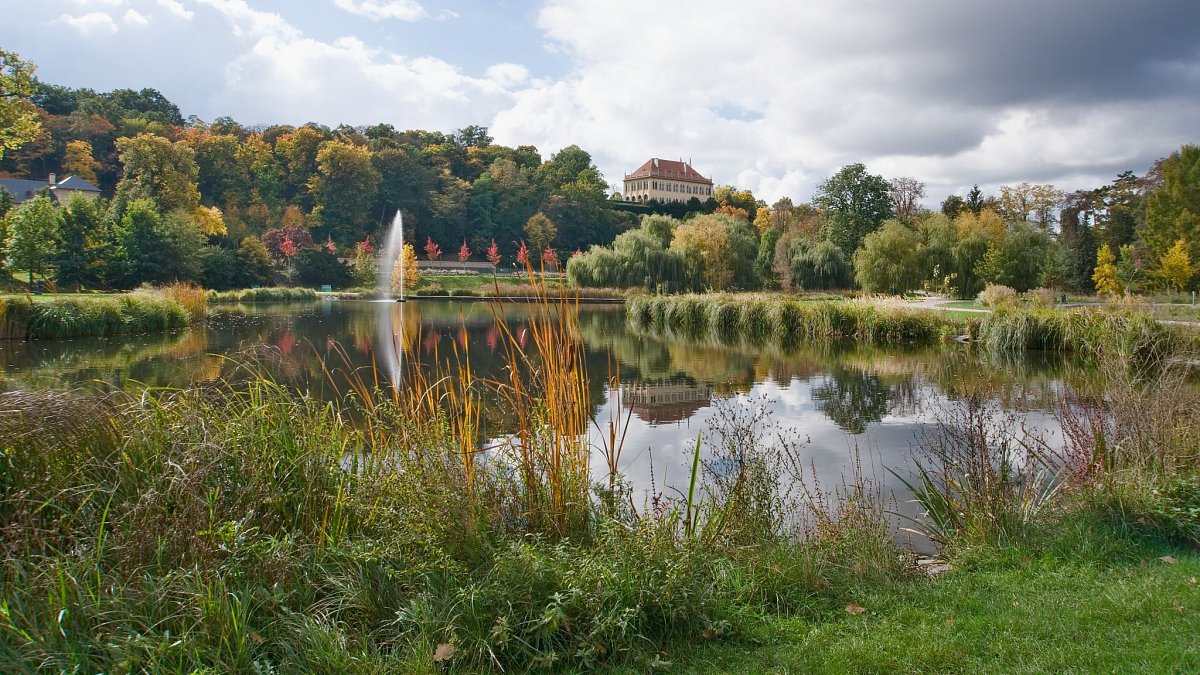 Stromovkou do Troje
