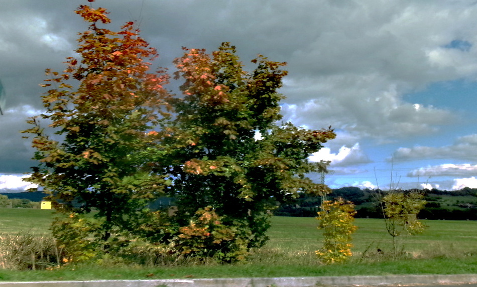 245-4075.jpg