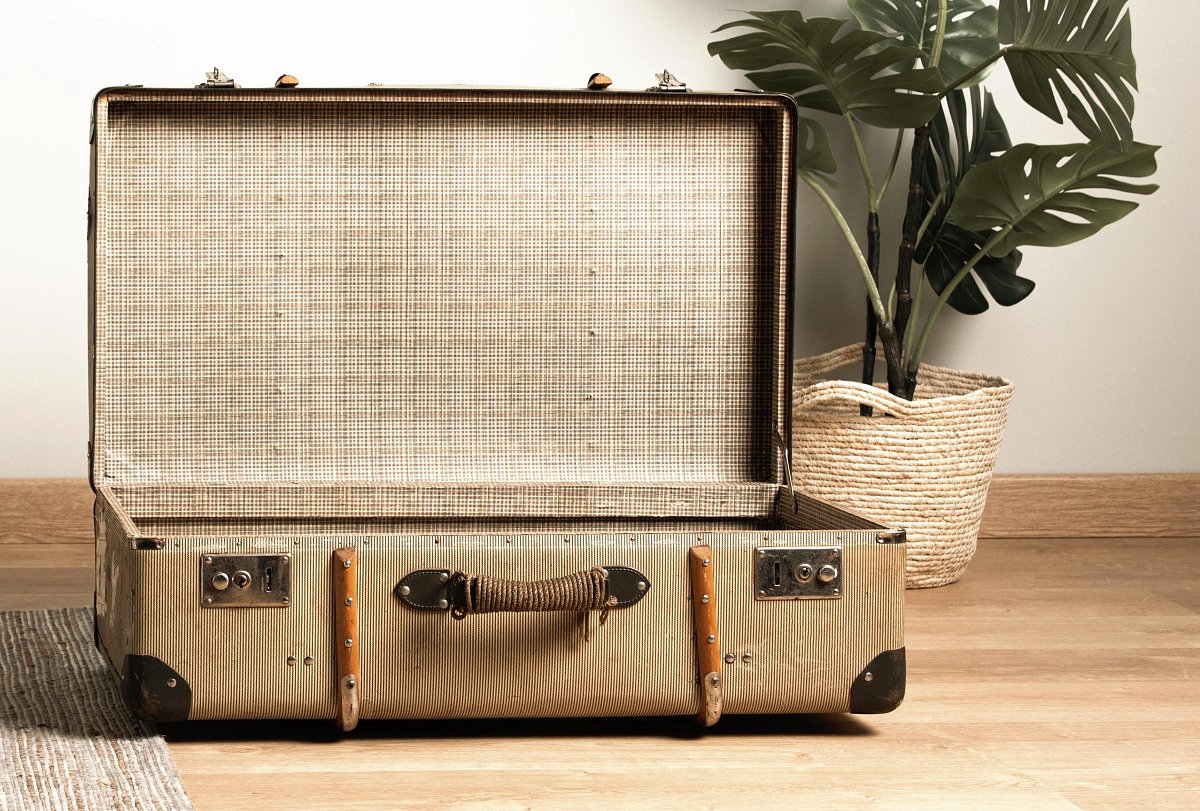 front-view-vintage-suitcase-with-interior-plant.jpg