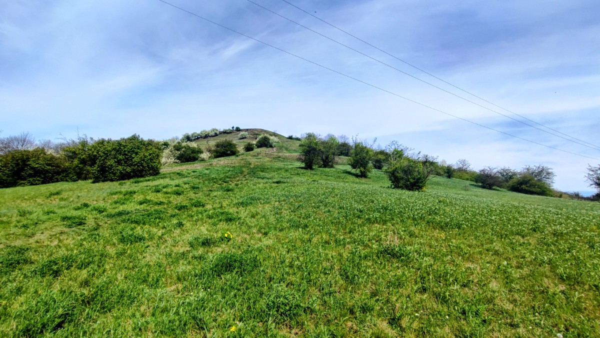 img-20260425-104409-2-1.jpg