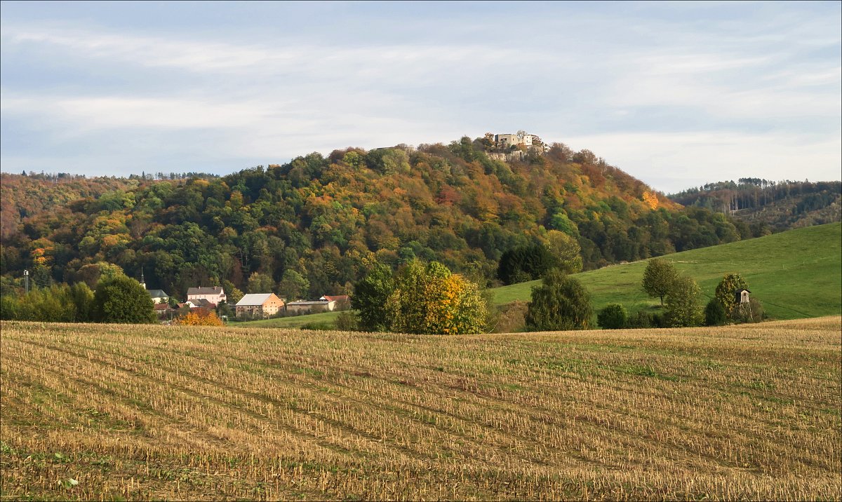 Zápisník starého muže: Zájezd seniorů