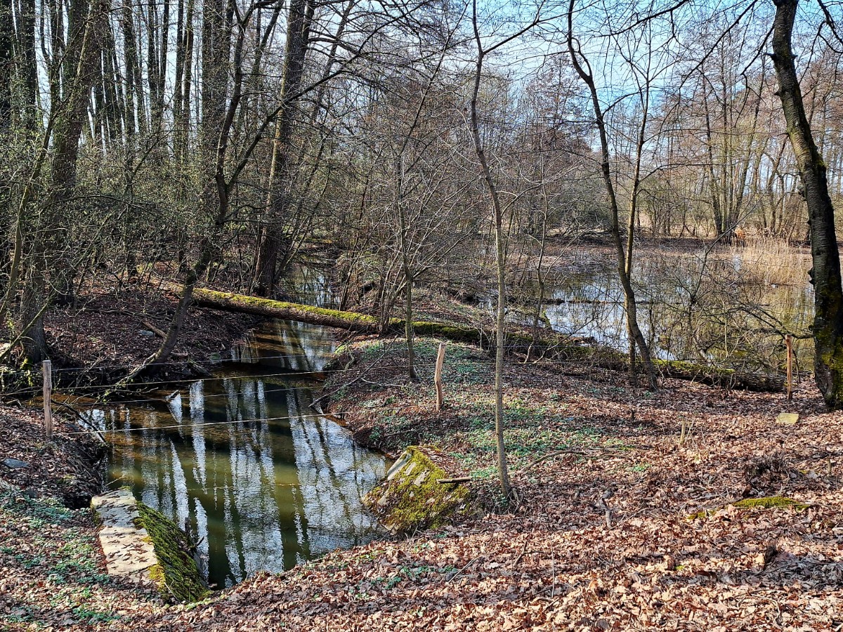 mokrady.jpg