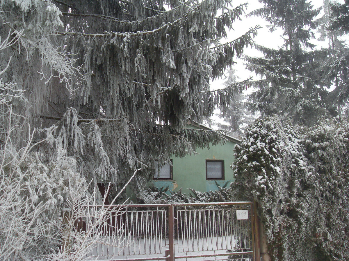 Snad se té sněhové pohádky také už brzy dočkáme?