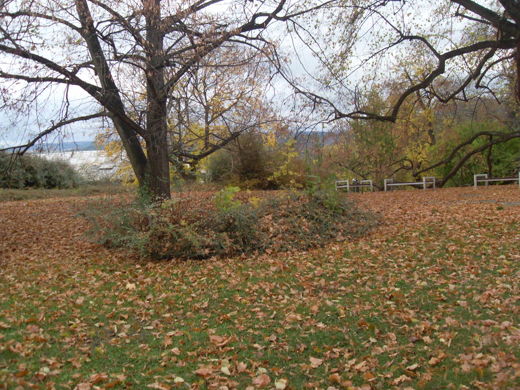 A zde už je všude plno listí