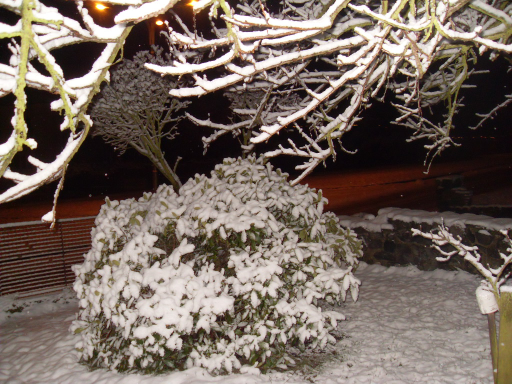 Také zde objevuji romantiku...