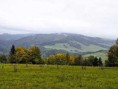 20251010-114457-2.jpg