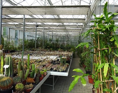 BZ Malešice - DO TXT