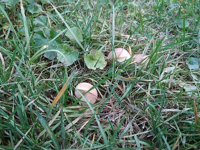 IMG-20191024-163117.jpg