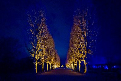 Zámek Pillnitz a zahrady