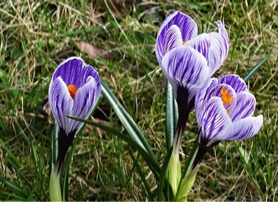 p1050076e4.jpg