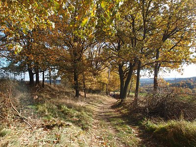 Vycházka z Divišova do Českého Šternberka – 22. října 2025