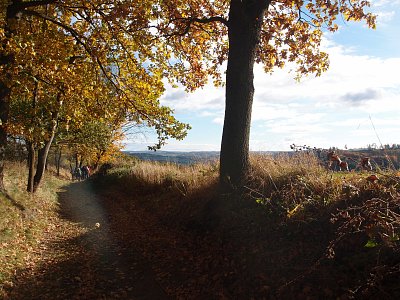 Vycházka z Divišova do Českého Šternberka – 22. října 2025